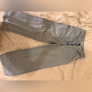Aritzia Light Wash Embark Jeans